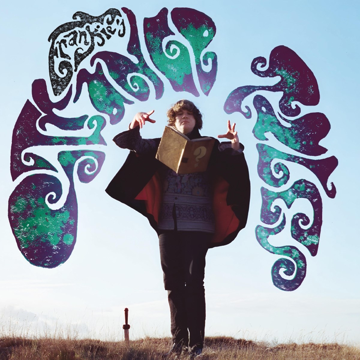 Afbeelding van Frankie - Strange Tales