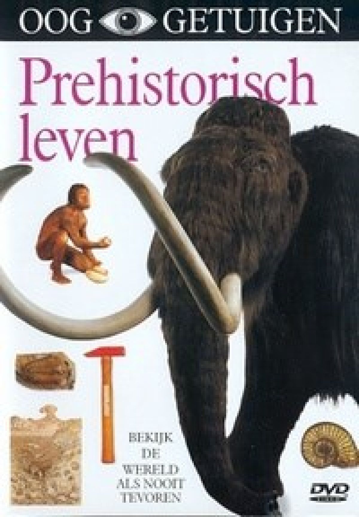 Afbeelding van Ooggetuigen - Prehistorisch Leven