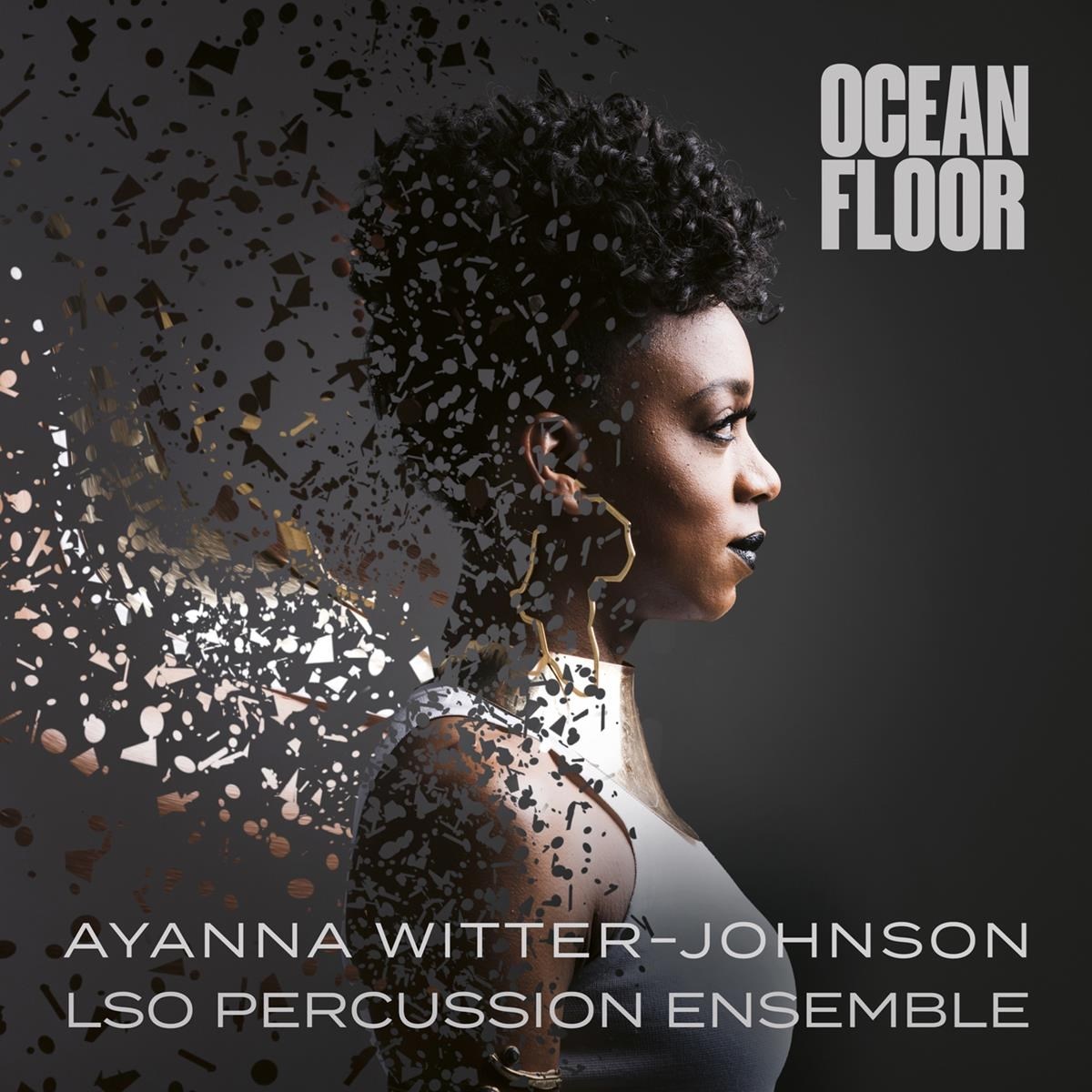 Afbeelding van Ayanna Witter-Johnson & Gwilym Simcoc - Ocean Floor