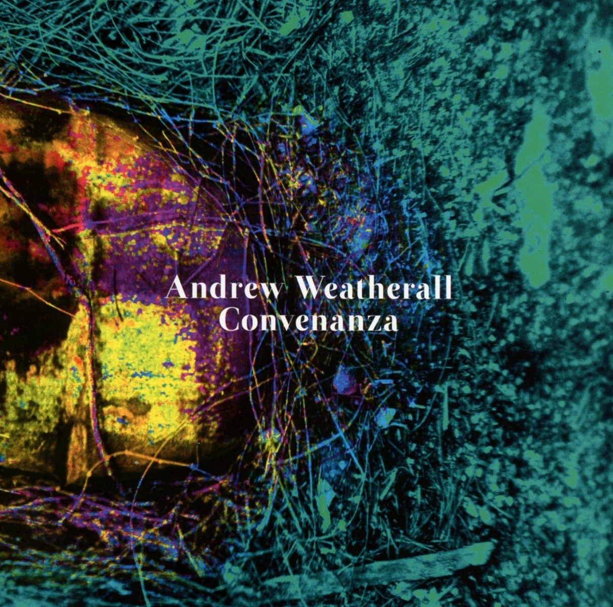 Afbeelding van Andrew Weatherall - Convenanza