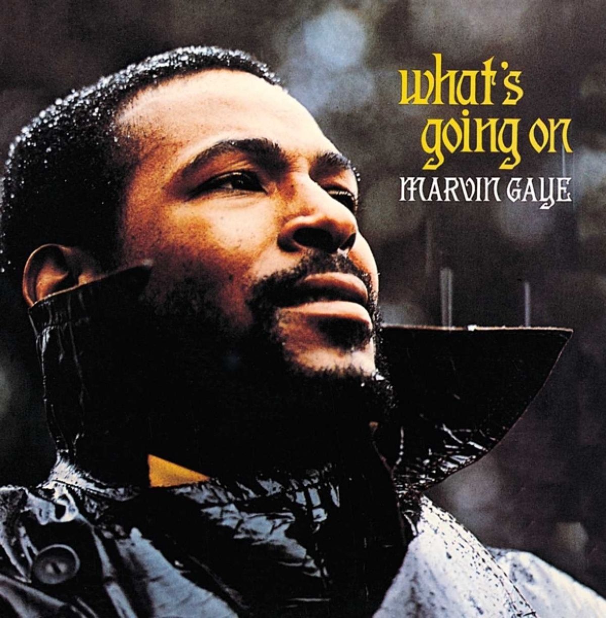 Afbeelding van Marvin Gaye - What's Going On