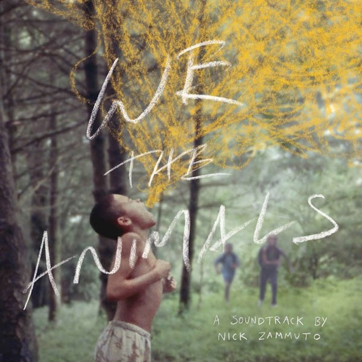Afbeelding van Nick Zammuto - We The Animals: An Original Motion Picture Soundtrack
