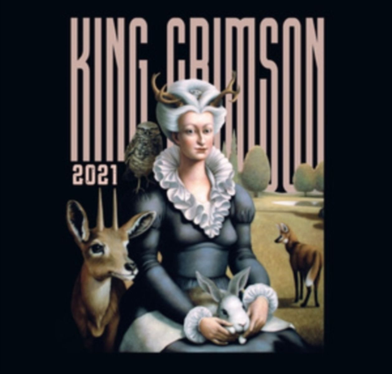 Afbeelding van King Crimson - Music Is Our Friend (Live In Washington & Albany 2021)