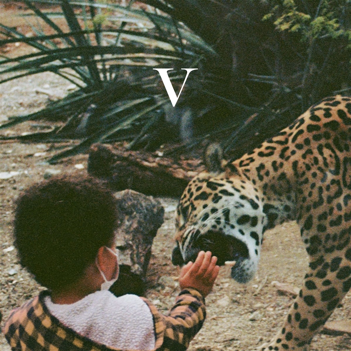 Afbeelding van Unknown Mortal Orchestra - V