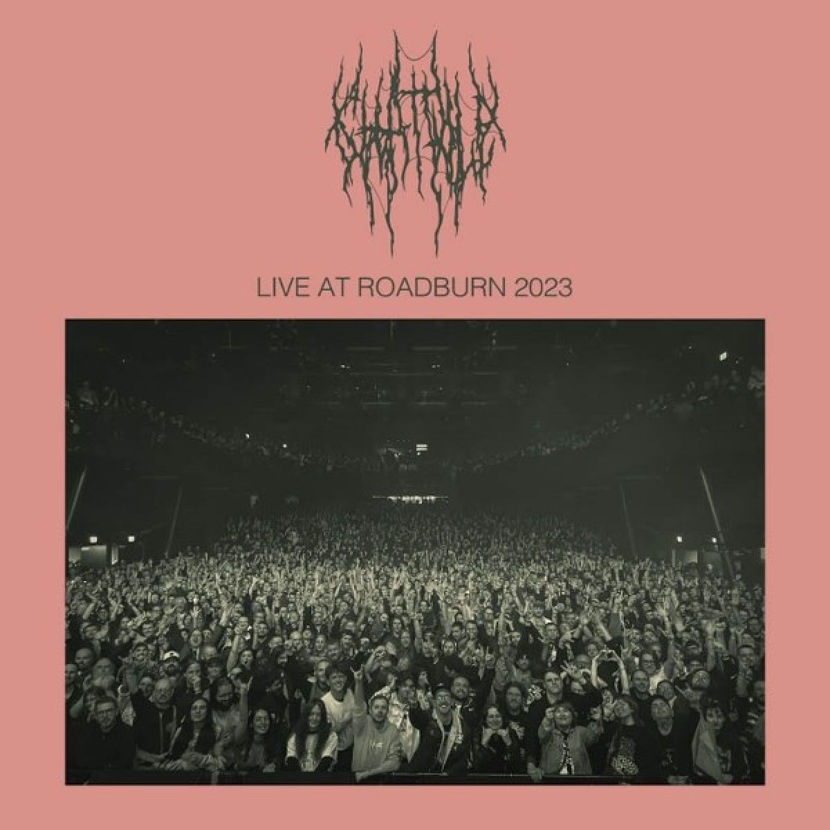 Afbeelding van Chat Pile - Live At Roadburn 2023