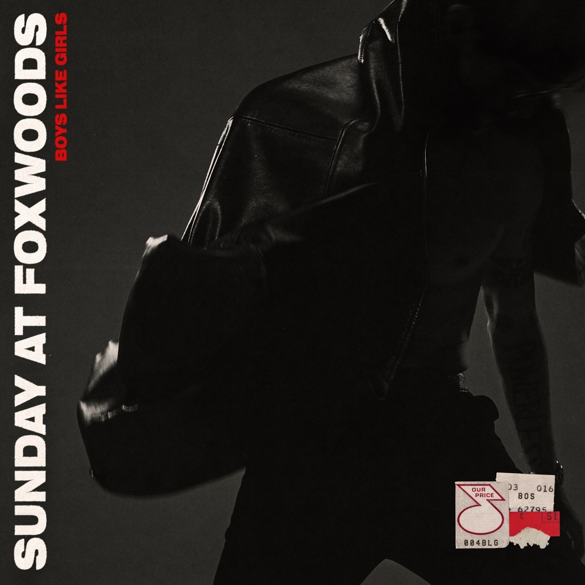 Afbeelding van Boys Like Girls - Sunday At Foxwoods