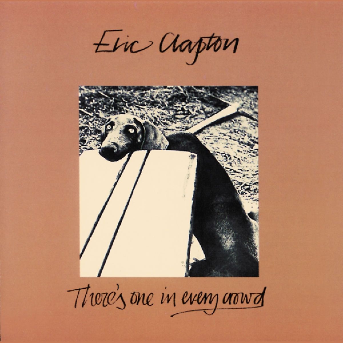 Afbeelding van Eric Clapton - There's 1 In Every Crowd