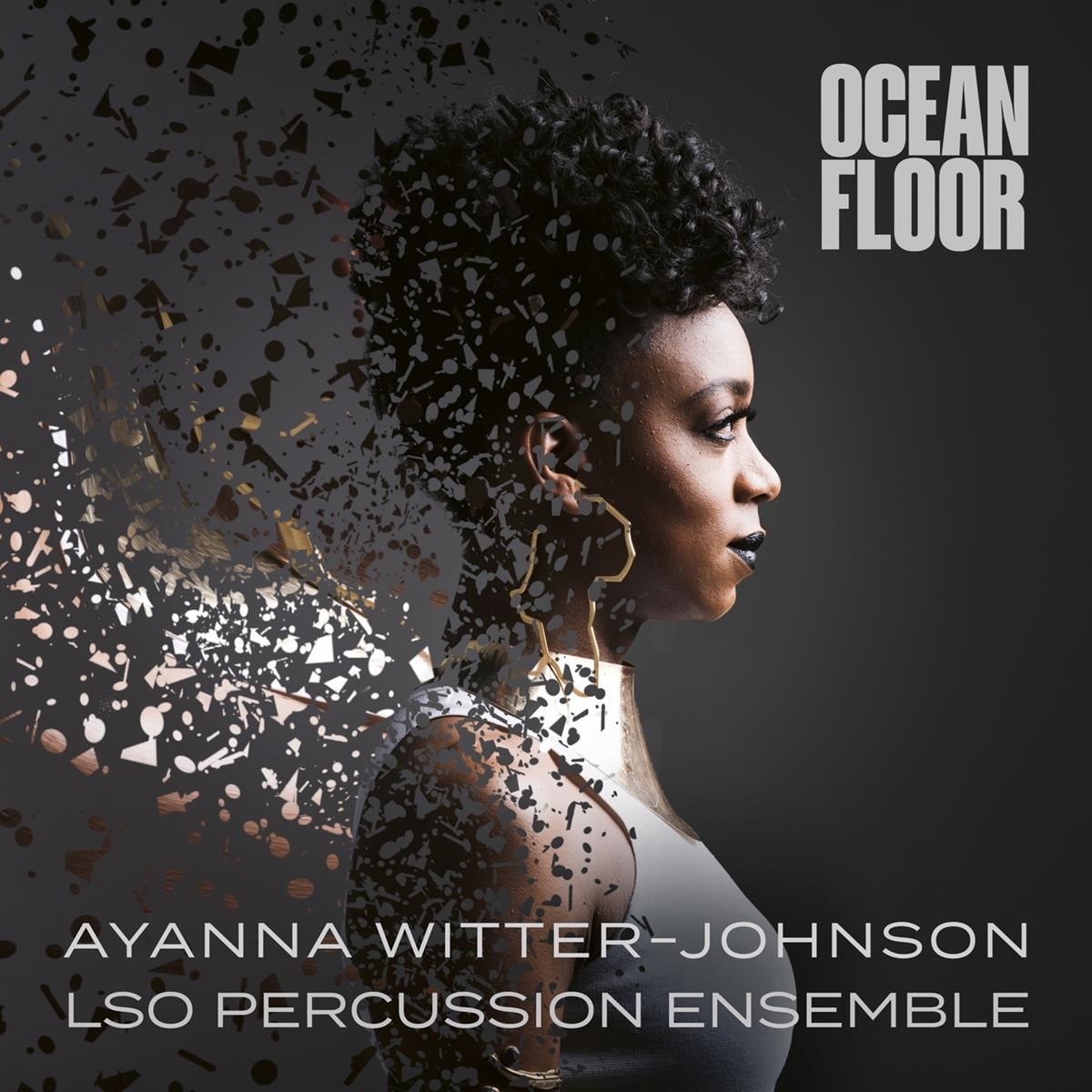 Afbeelding van Ayanna Witter-Johnson, LSO Percussion Ensemble - Ocean Floor