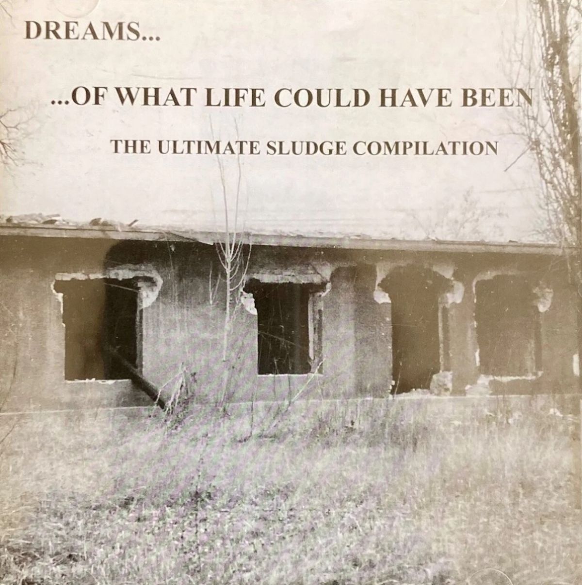 Afbeelding van Various Artists - Dreams... ...Of What Life Could Have Been (The Ultimate Sludge Compilation)