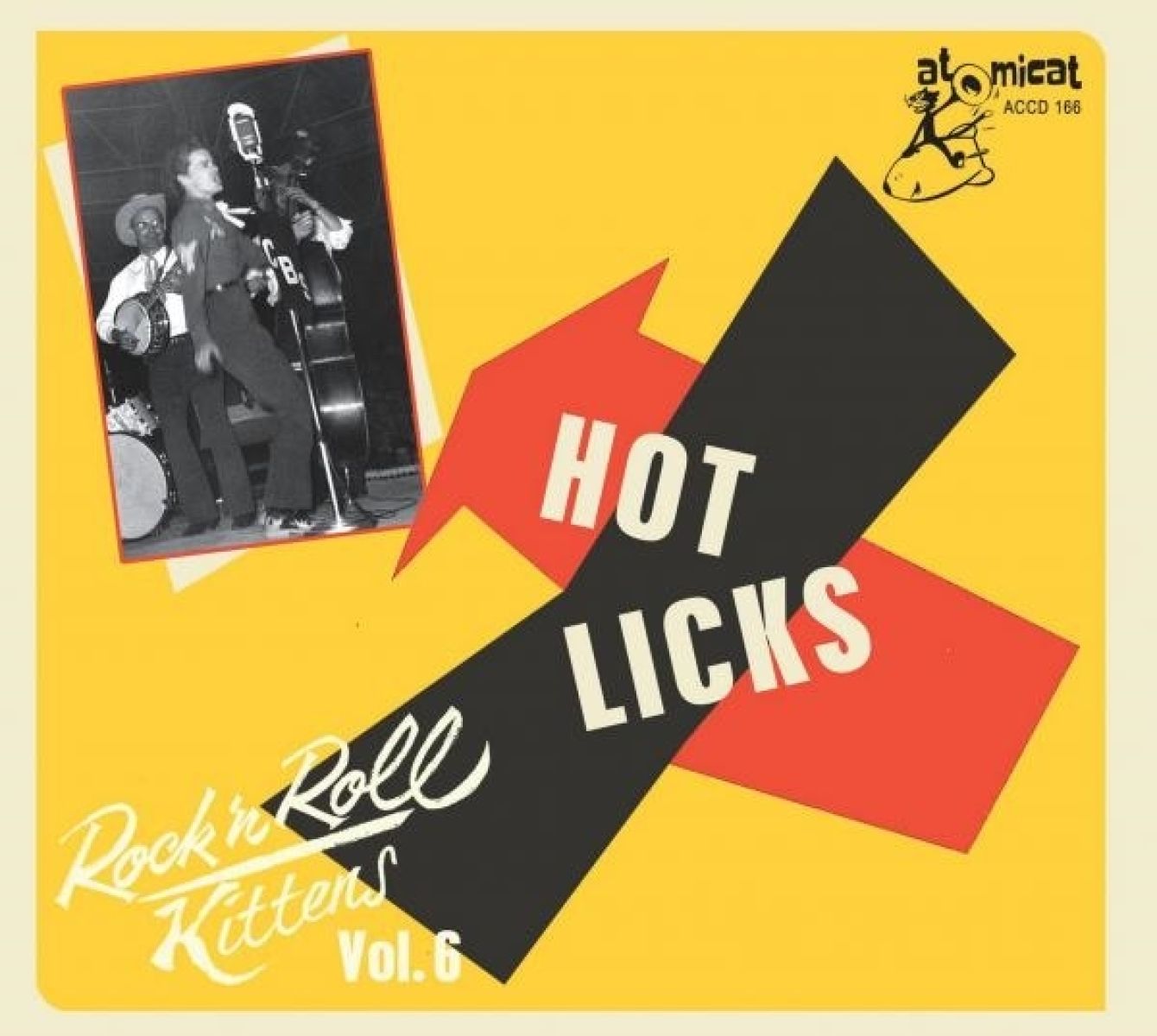 Afbeelding van Various Artists - Rock'n'roll Kittens Vol.6