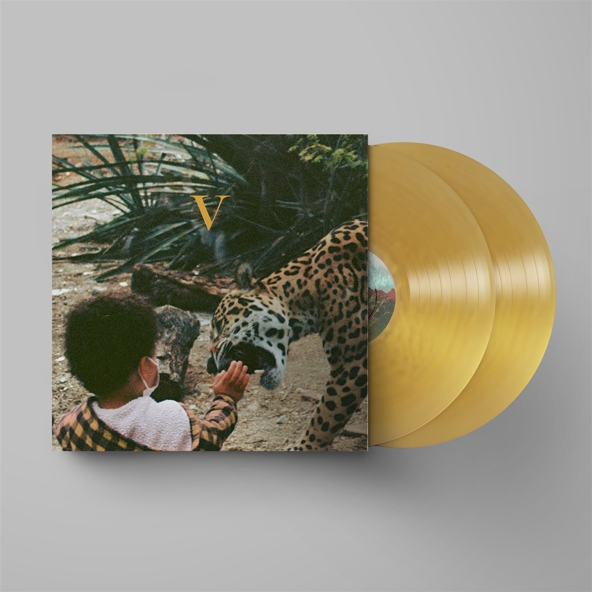 Afbeelding van Unknown Mortal Orchestra - V