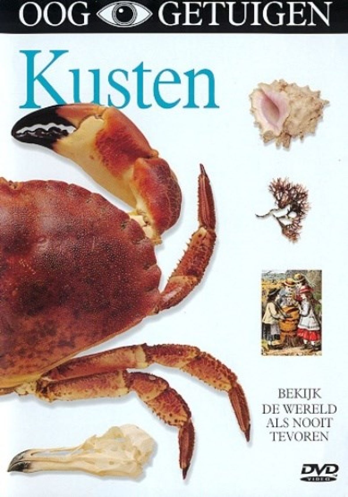 Afbeelding van Ooggetuigen - Kusten