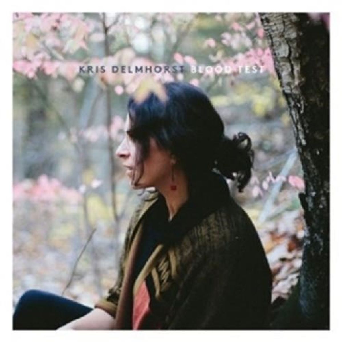 Kris Delmhorst - Blood Test