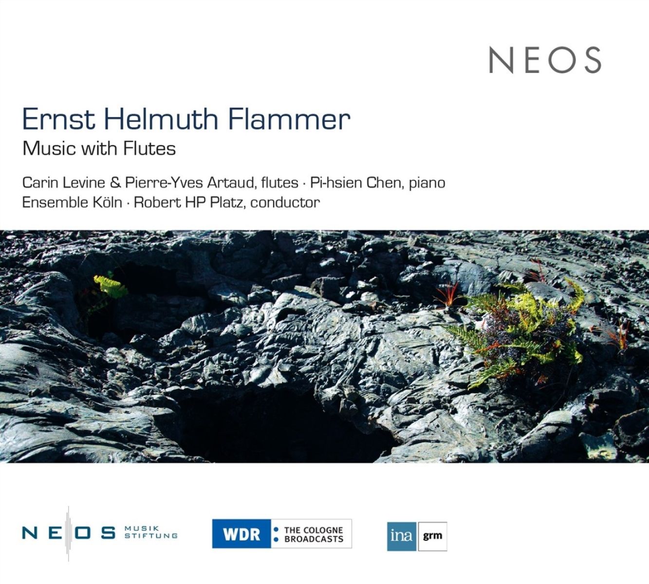 Afbeelding van Carin Levine, Pierre-Yves Artaud, Ensemble Köln, Robert Hp Platz - Flammer: Music With Flutes
