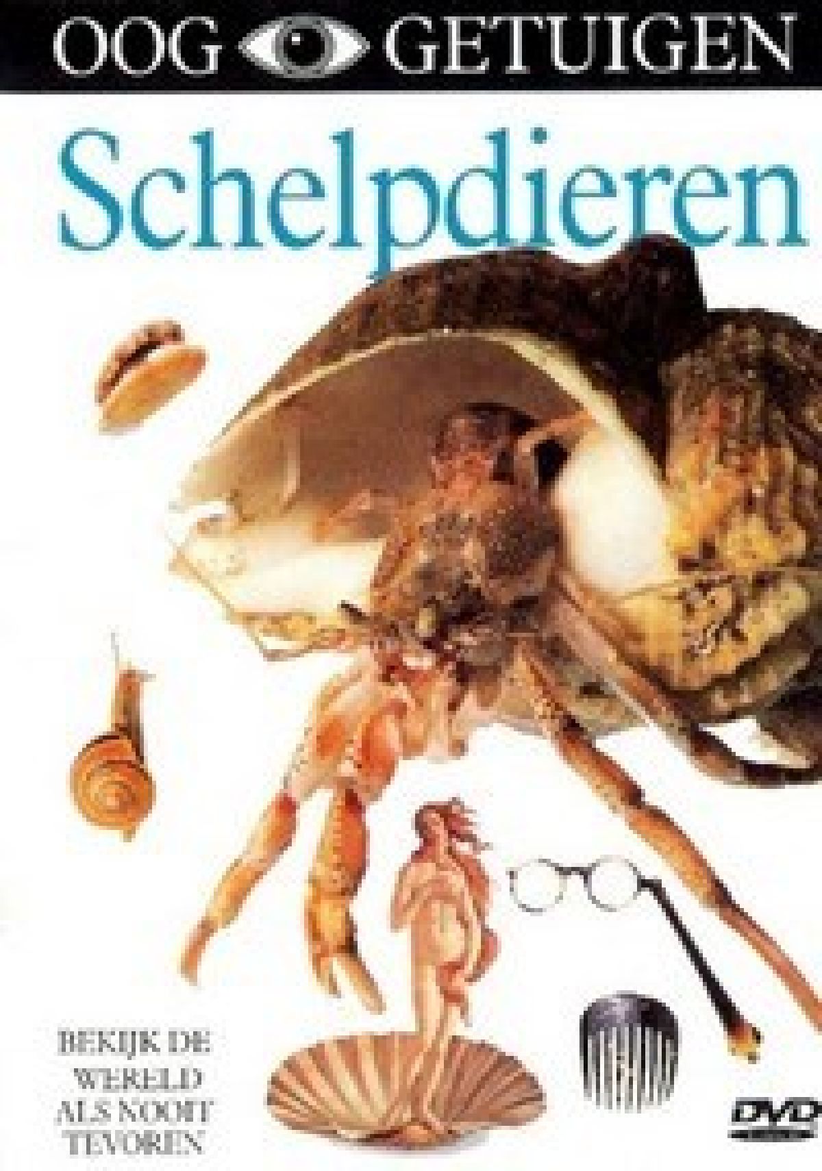 Afbeelding van Ooggetuigen - Schelpdieren