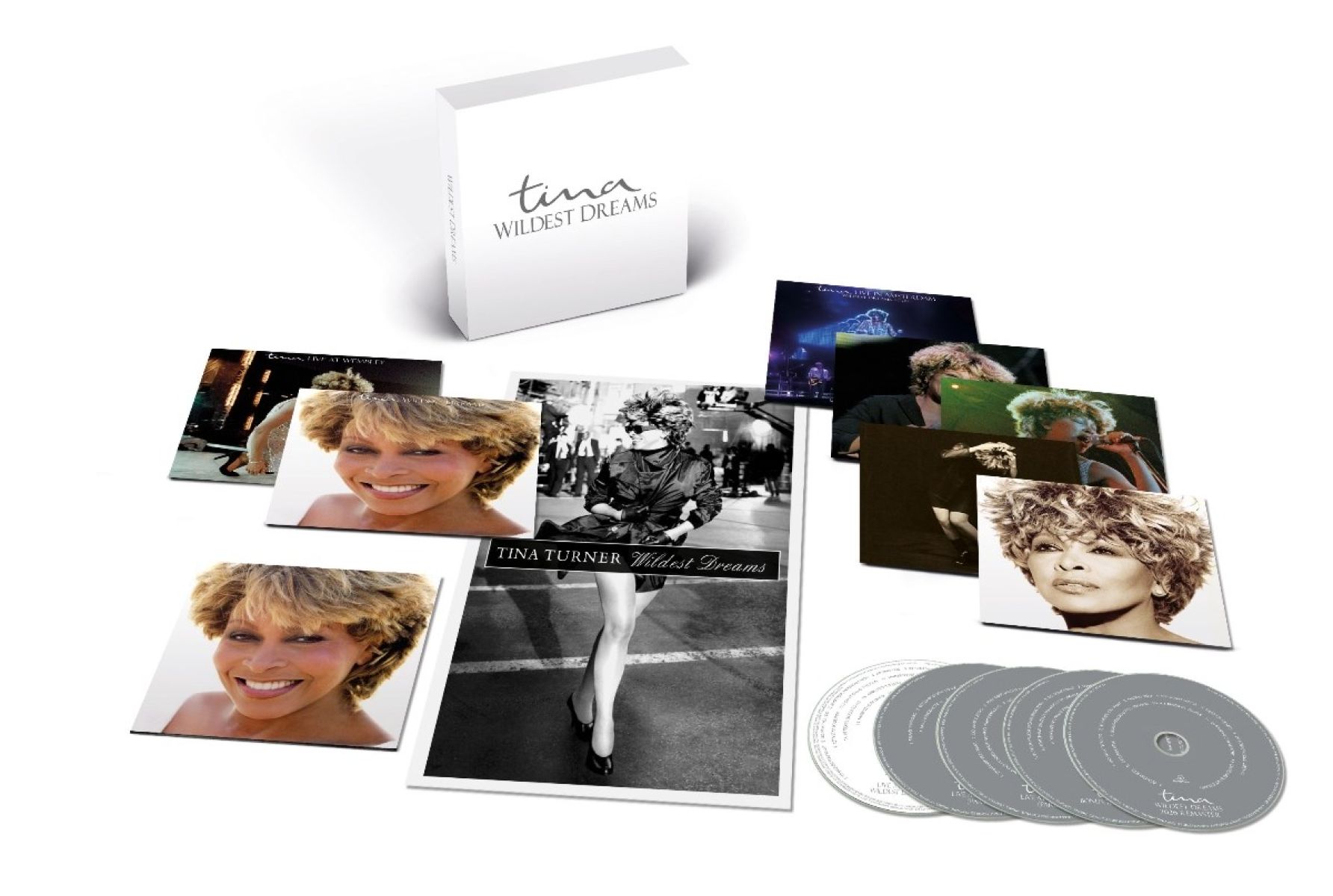 Afbeelding van Tina Turner - Wildest Dreams