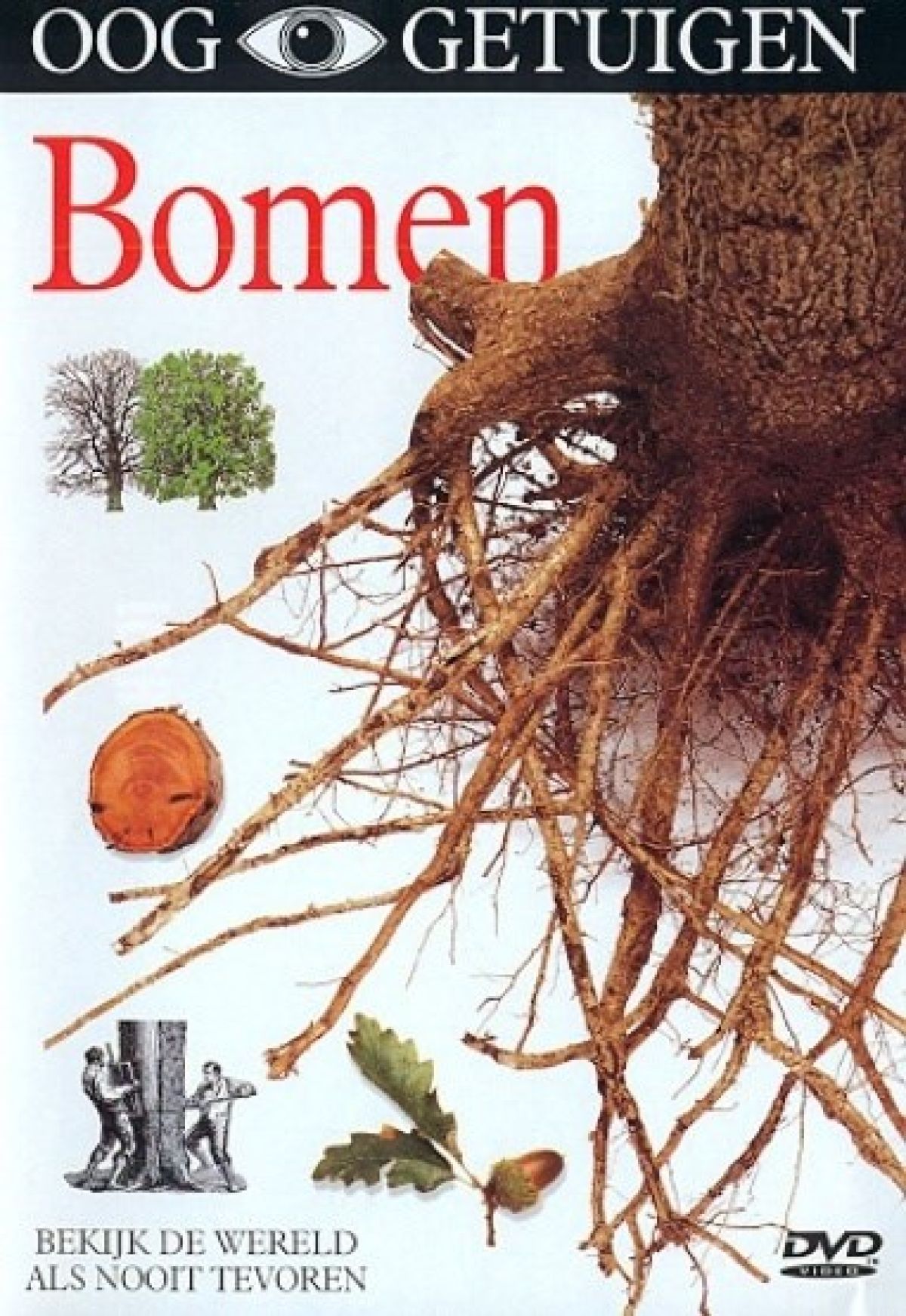 Afbeelding van Ooggetuigen - Bomen