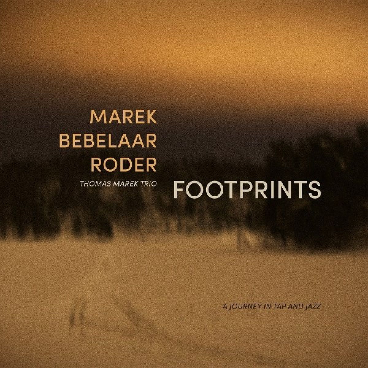 Afbeelding van Thomas Marek Trio - Footprints