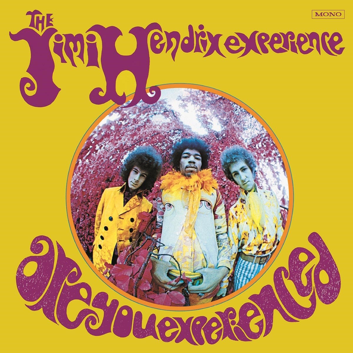 Afbeelding van The Jimi Hendrix Experience - Are You Experienced