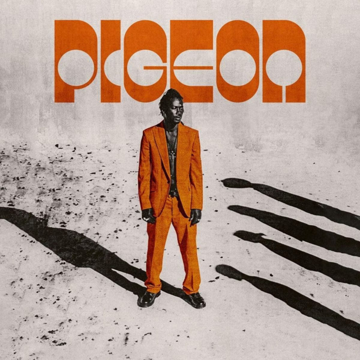 Afbeelding van Pigeon - Backslider