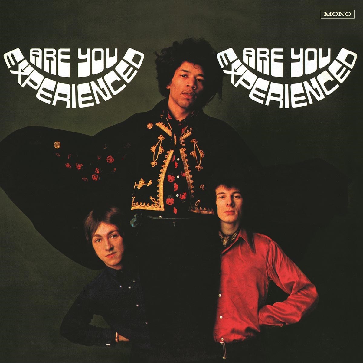 Afbeelding van The Jimi Hendrix Experience - Are You Experienced