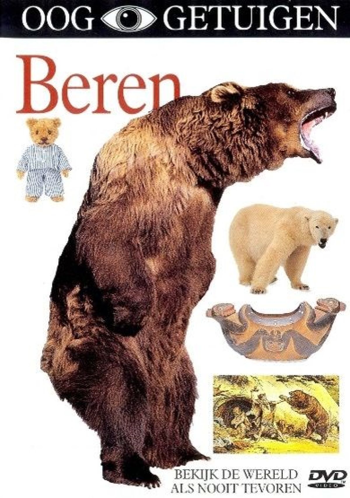 Afbeelding van Ooggetuigen - Beren