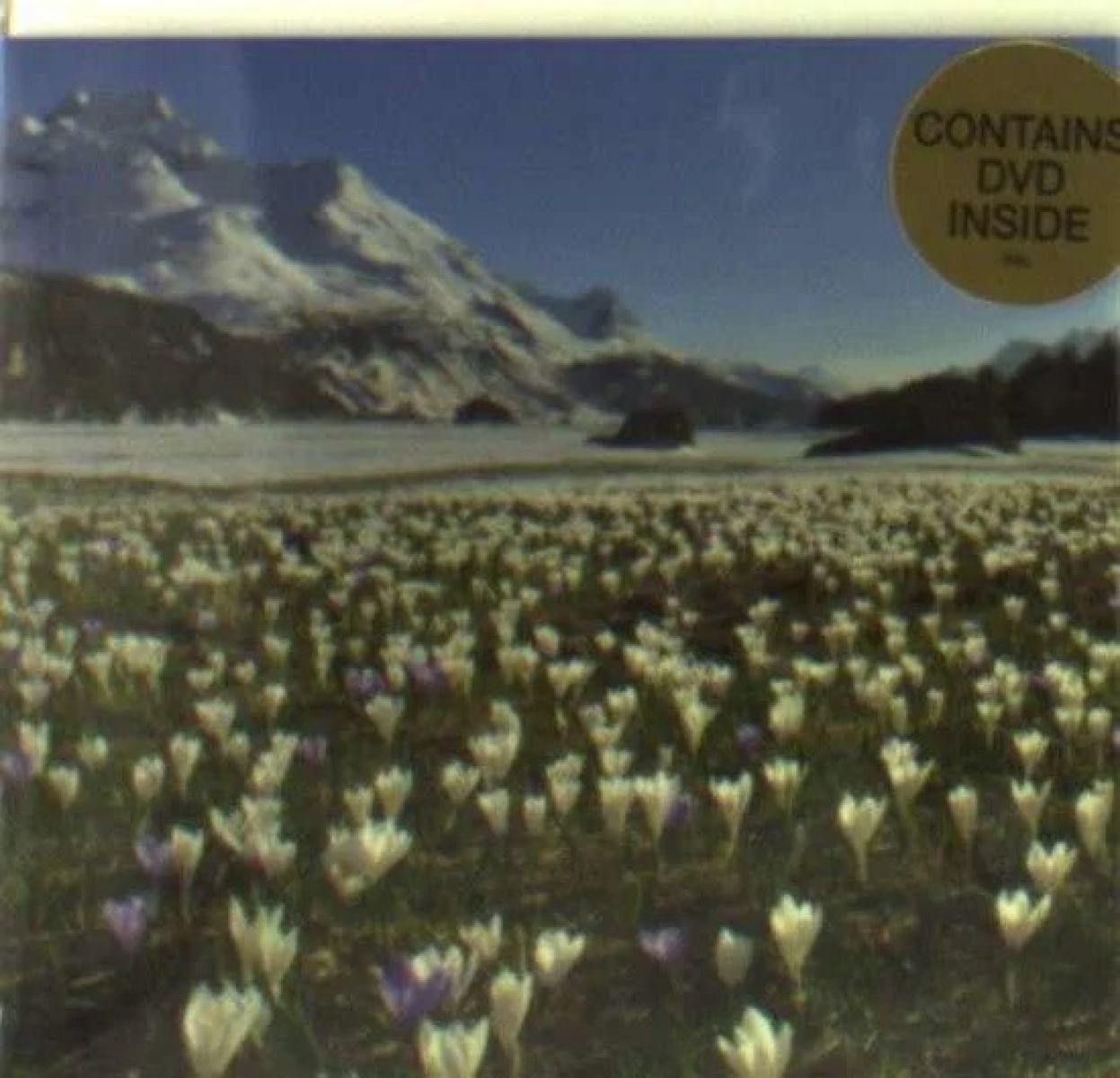 Afbeelding van 4 Seasons -Dvd Card