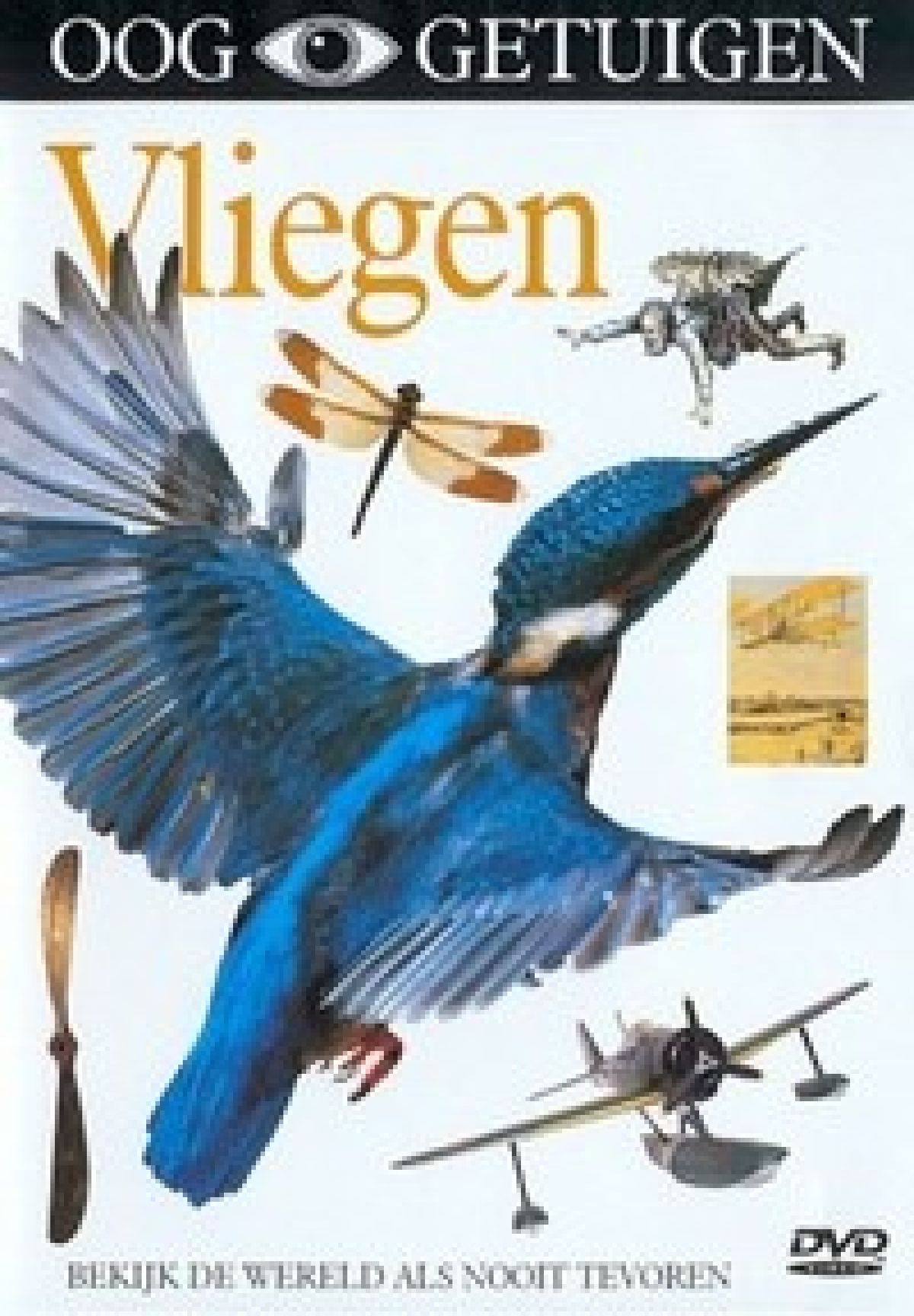 Ooggetuigen - Vliegen