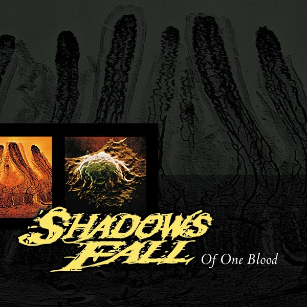 Afbeelding van Shadows Fall - Of One Blood