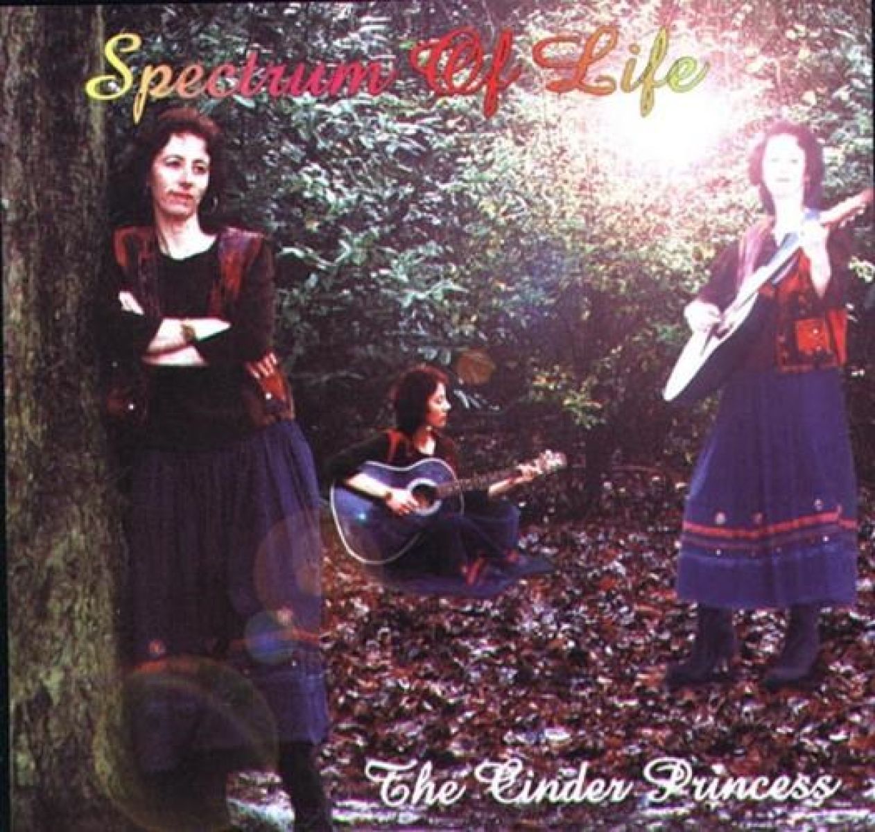 Afbeelding van The Cinder Princess - Spectrum Of Life