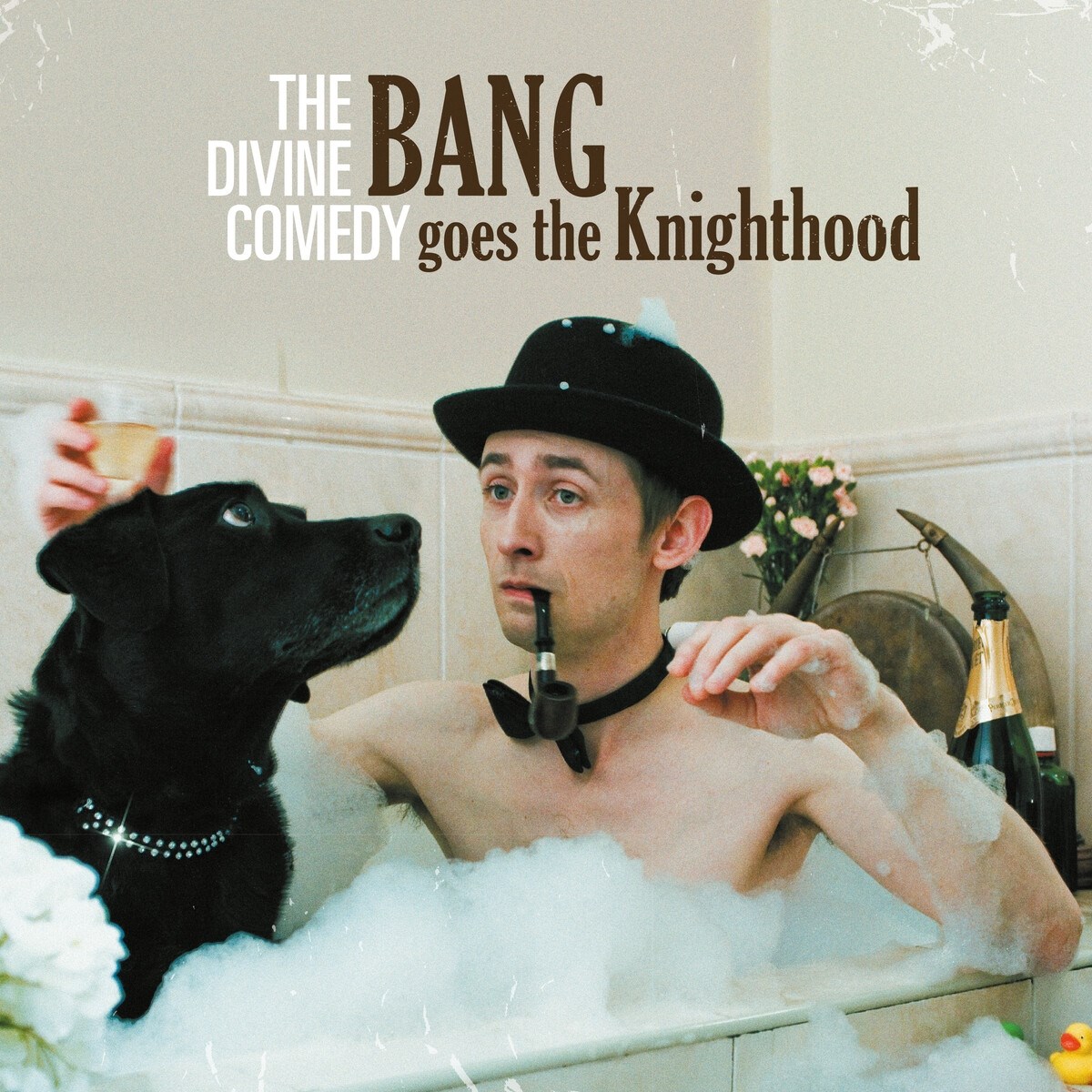 Afbeelding van The Divine Comedy - Bang Goes The Knighthood