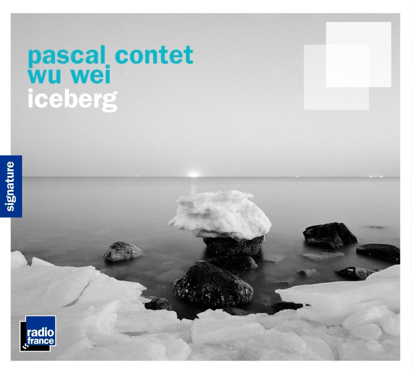 Afbeelding van Pascal Contet, Wu Wei - Iceberg