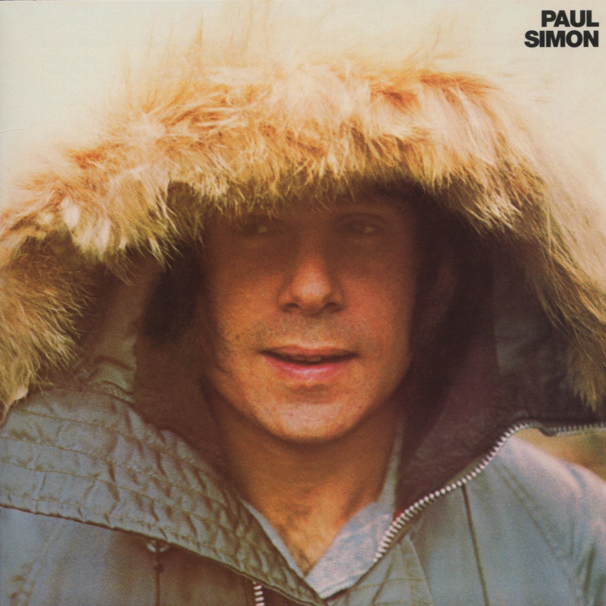 Afbeelding van Paul Simon - Paul Simon