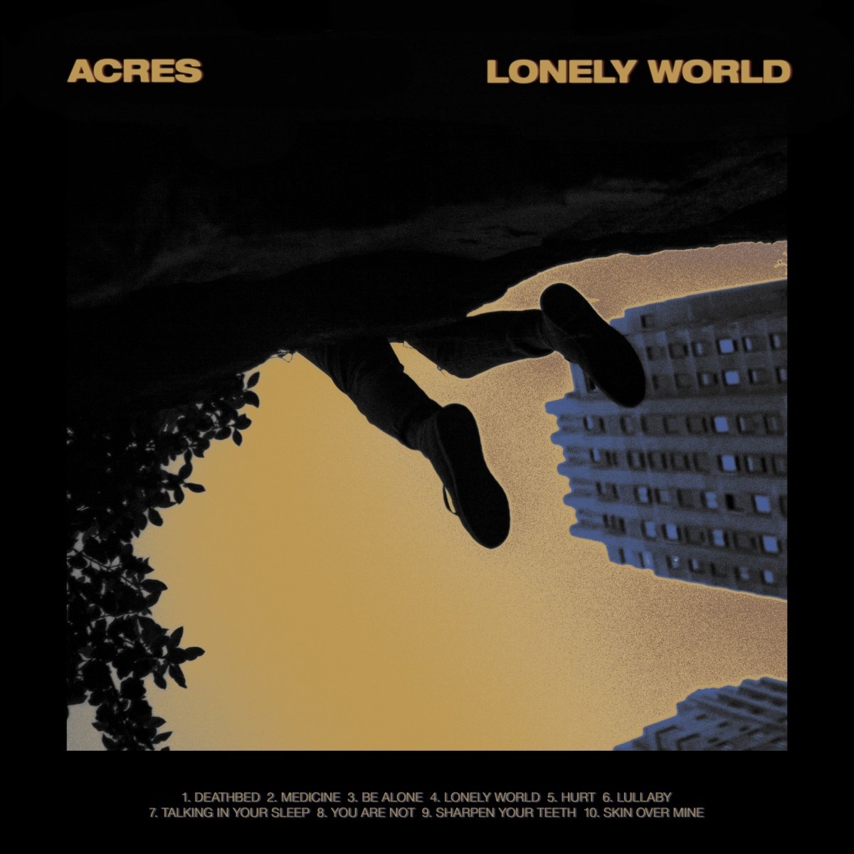 Afbeelding van Acres - Lonely World