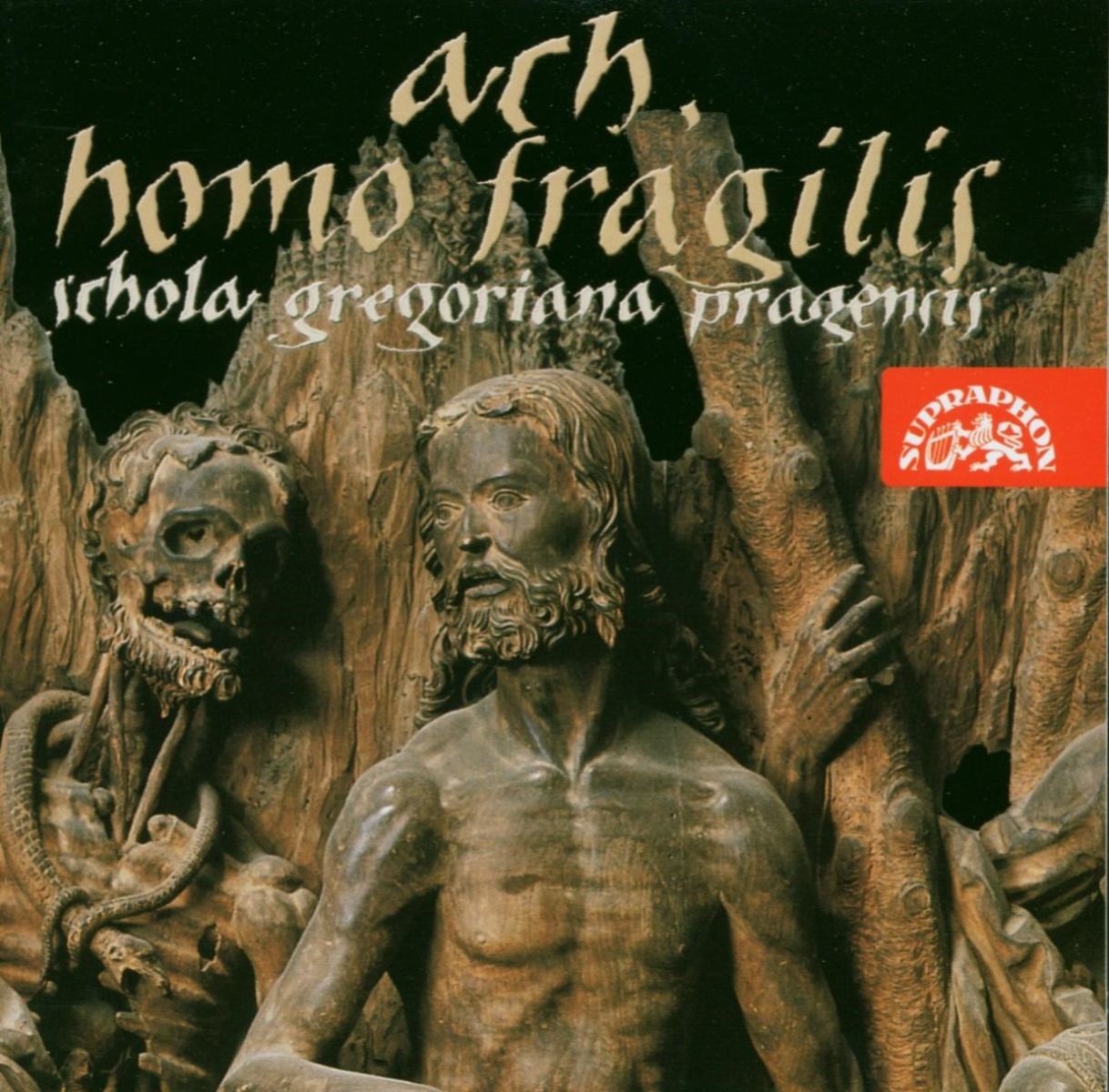 Schola Gregoriana Pragensis - Ah Homo Fragilis (O Frailty Of