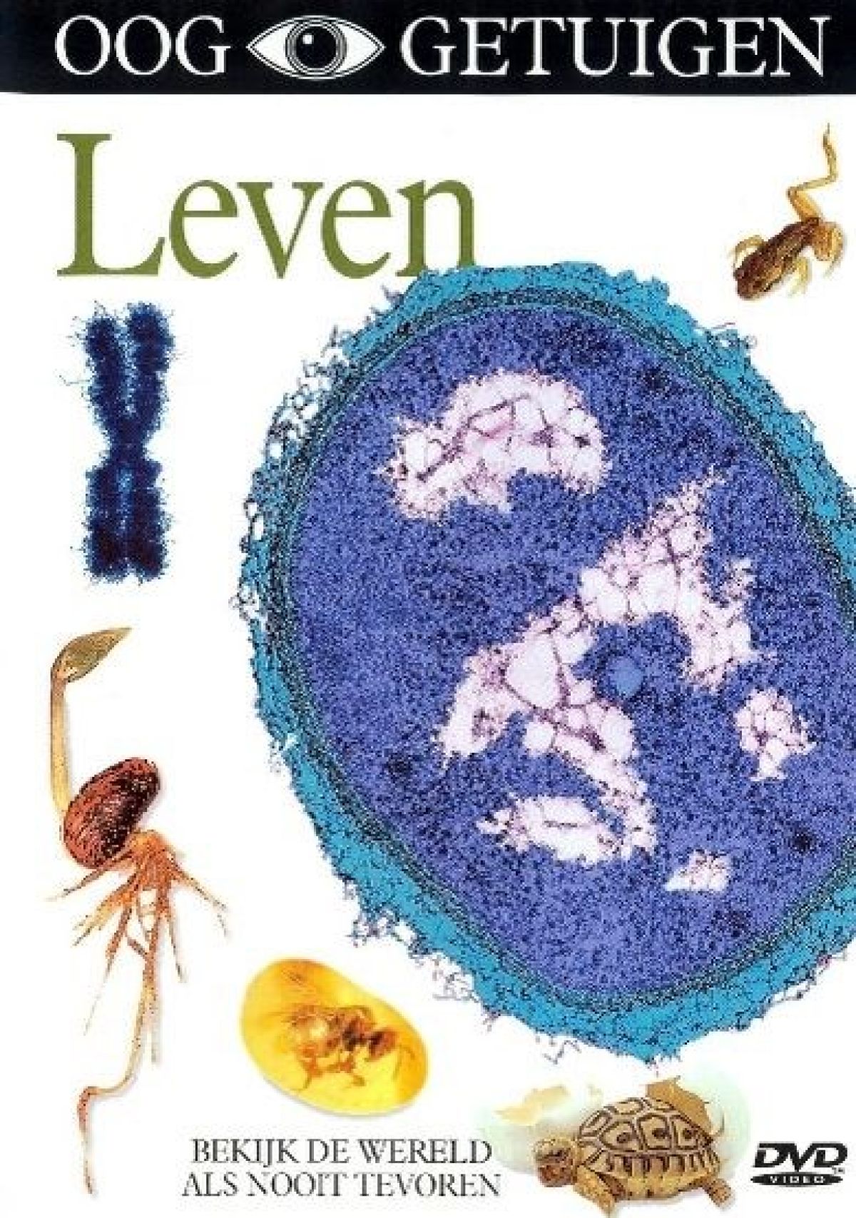 Ooggetuigen - Leven