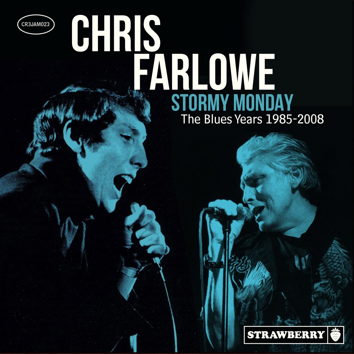 Afbeelding van Stormy Monday - The Blues Years 1985-2008