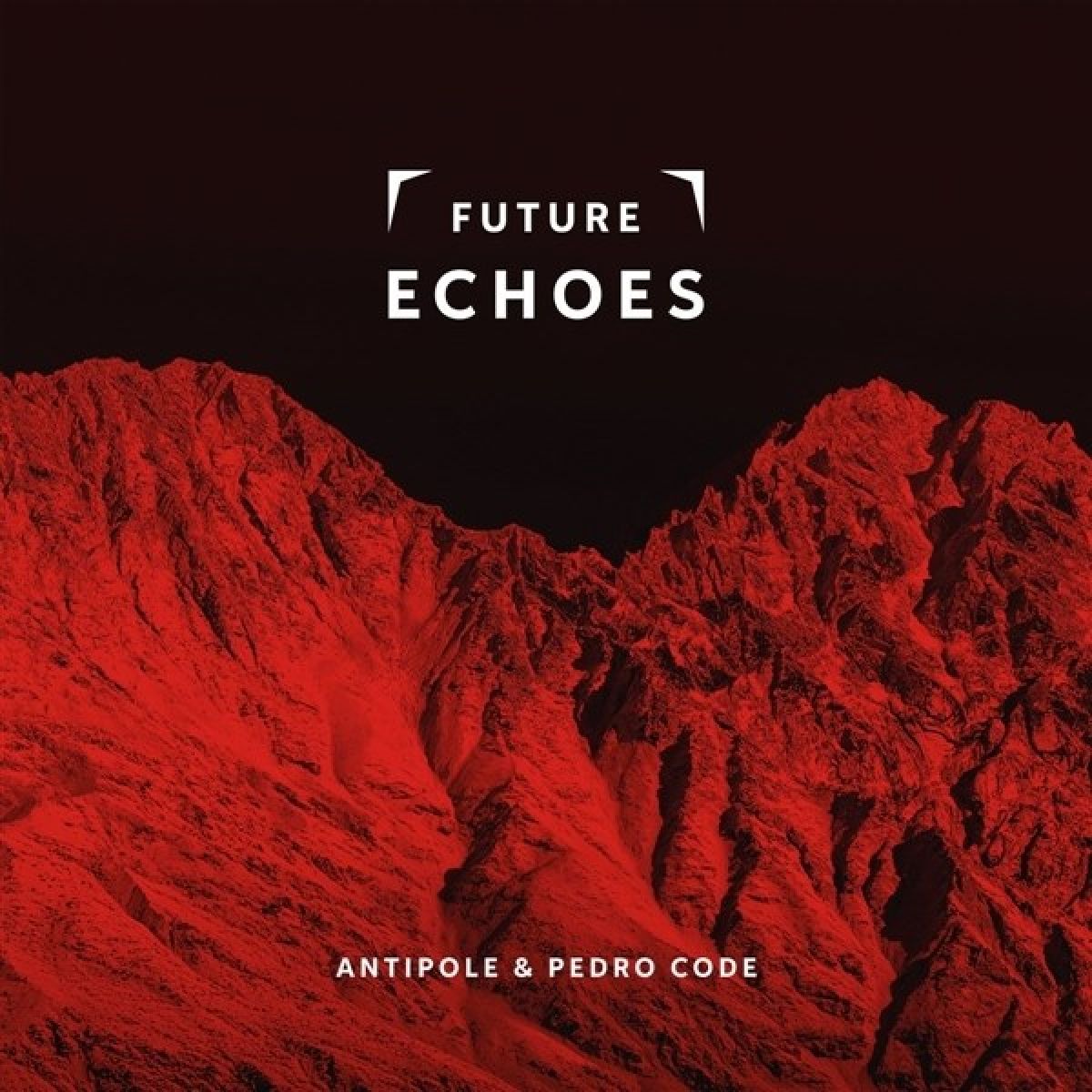 Afbeelding van Antipole & Pedro Code - Future Echoes