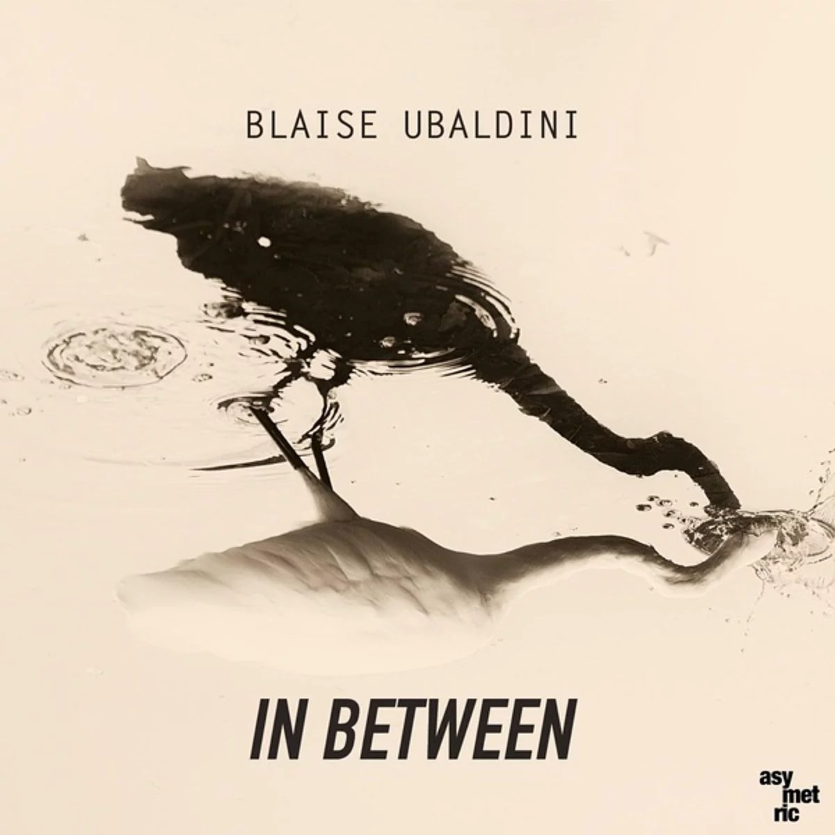Afbeelding van Blaise Ubaldini - In Between