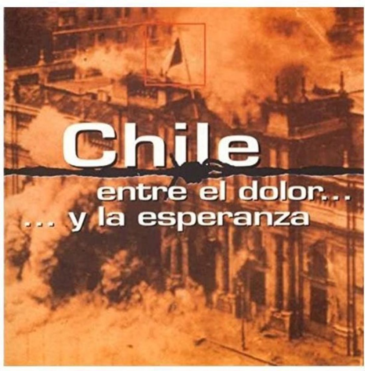 Various Artists - Chile. Entre El Dolor.....Y La Esperanz