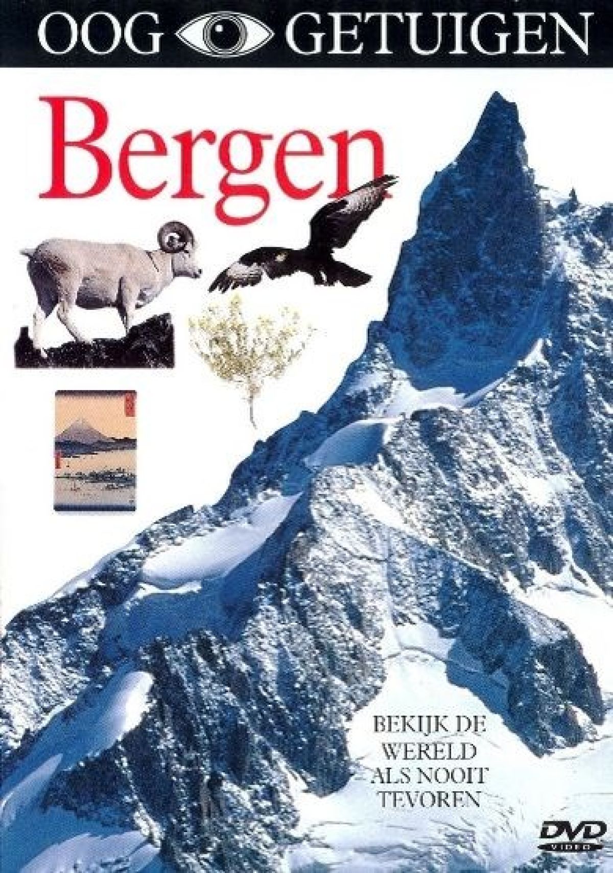 Afbeelding van Ooggetuigen - Bergen