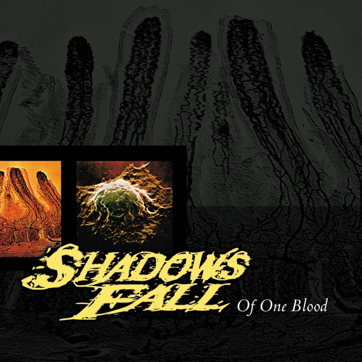 Afbeelding van Shadows Fall - Of One Blood