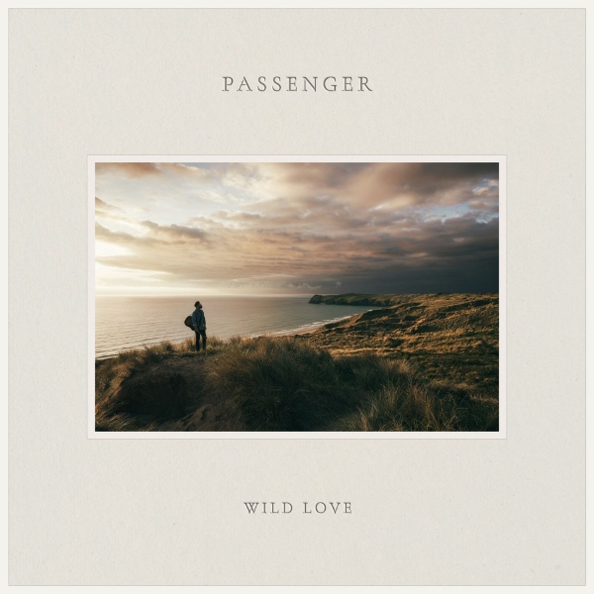 Afbeelding van Passenger - Wild Love
