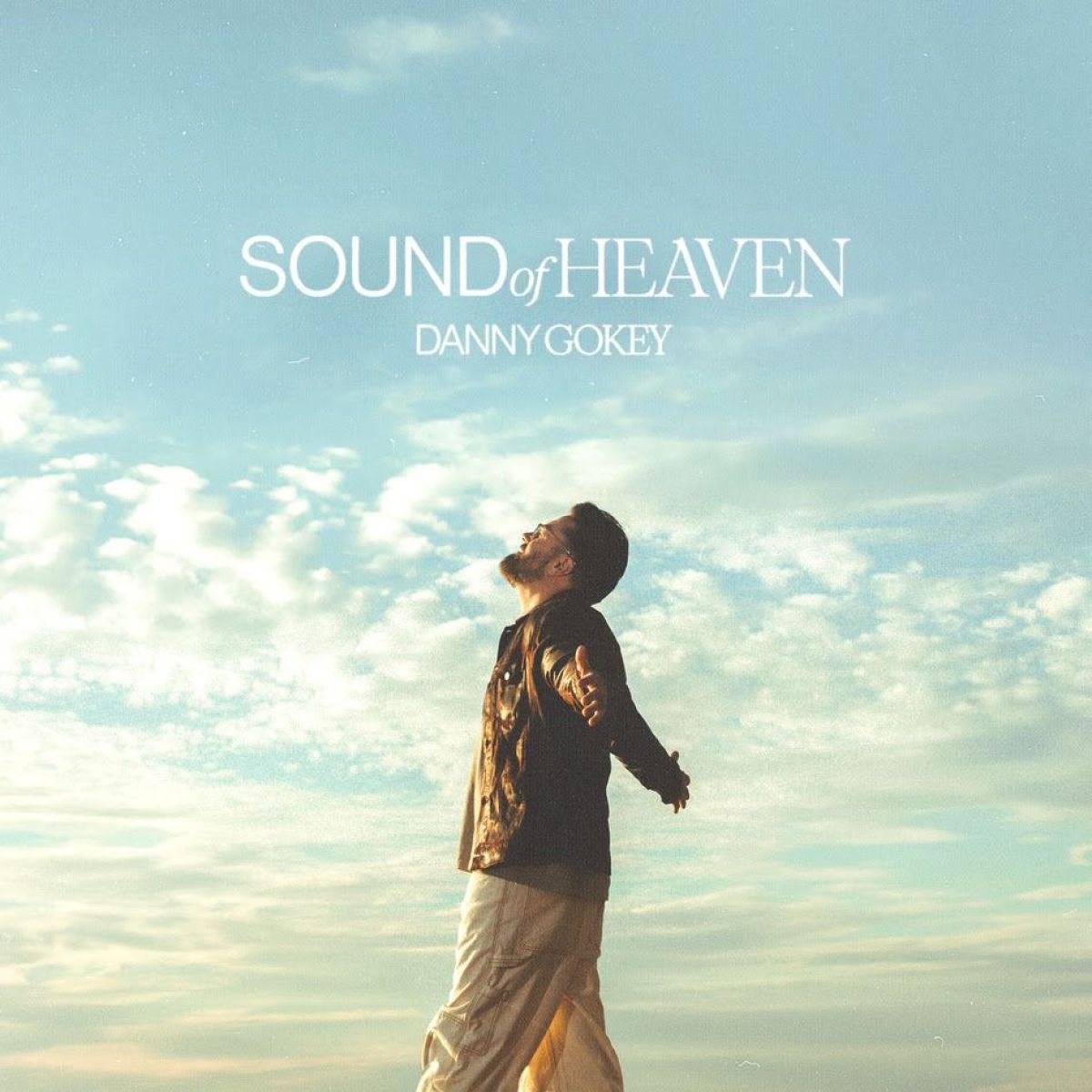 Afbeelding van Danny Gokey - Sound Of Heaven