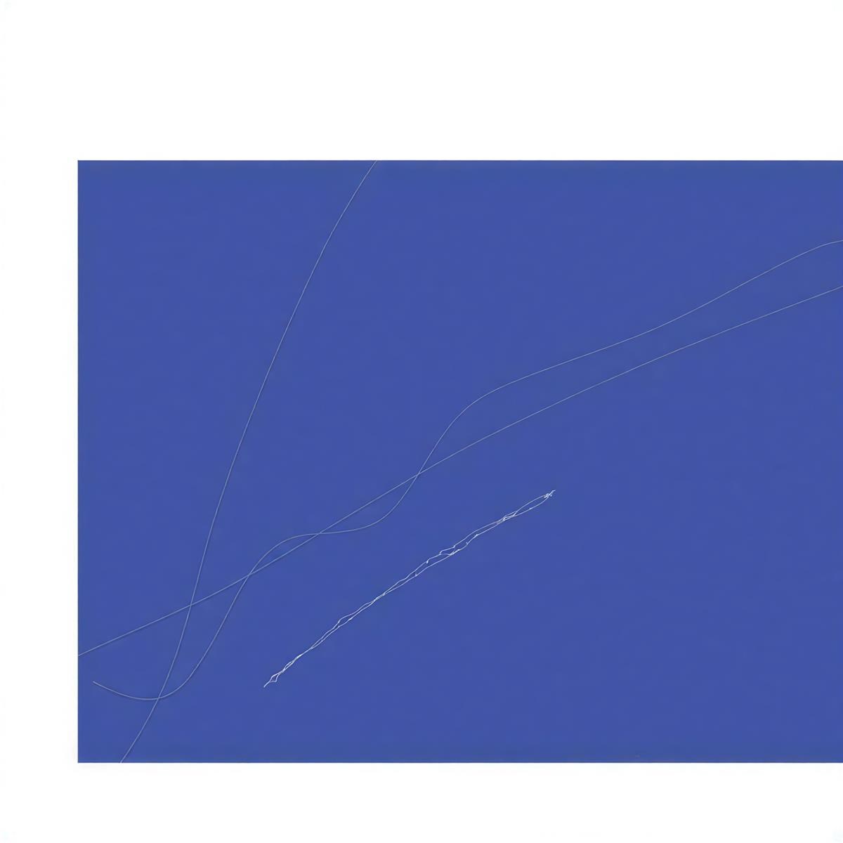 Afbeelding van Matthew P. Hopkins - Blue-Lit Half Breath
