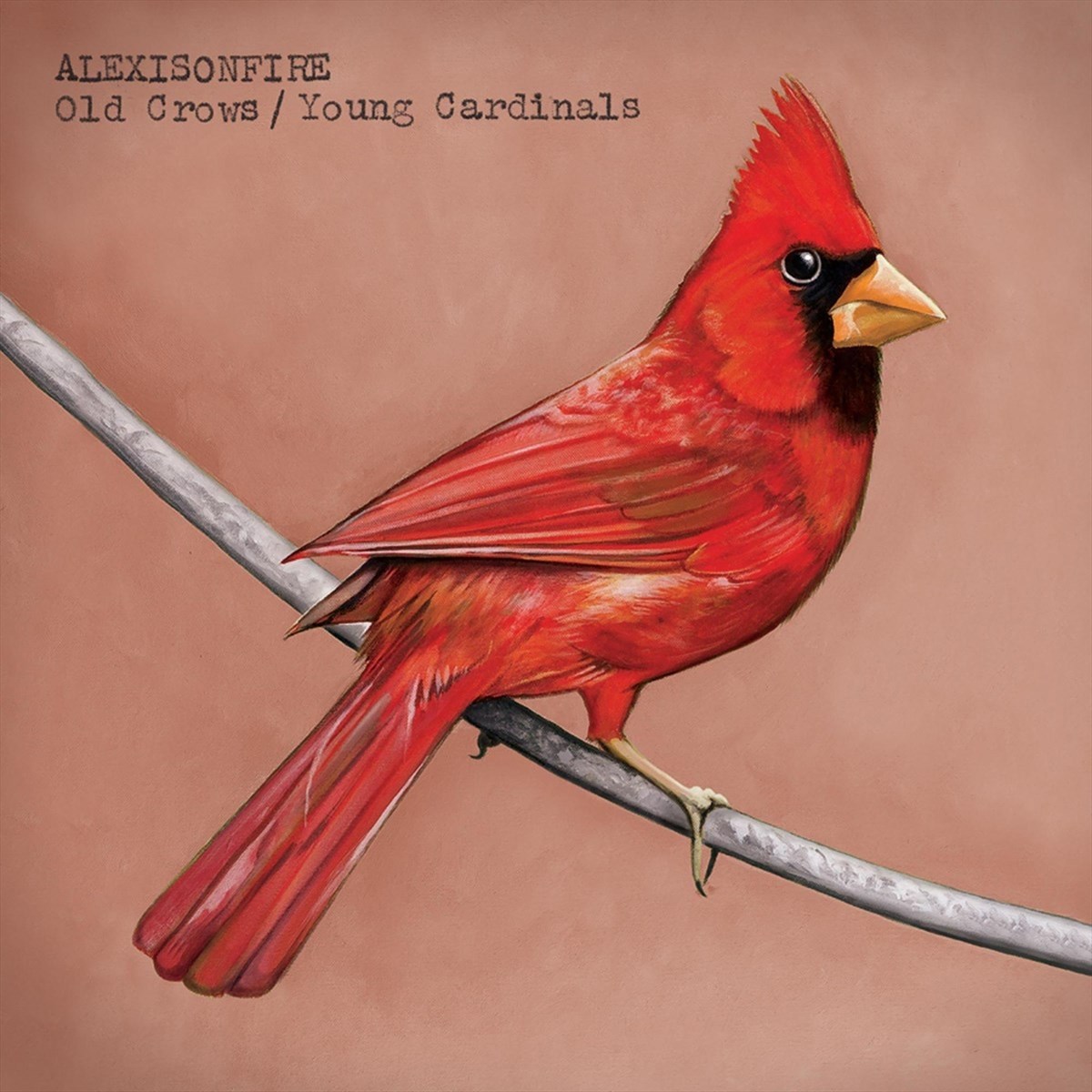 Afbeelding van Alexisonfire - Old Crows / Young Cardinals