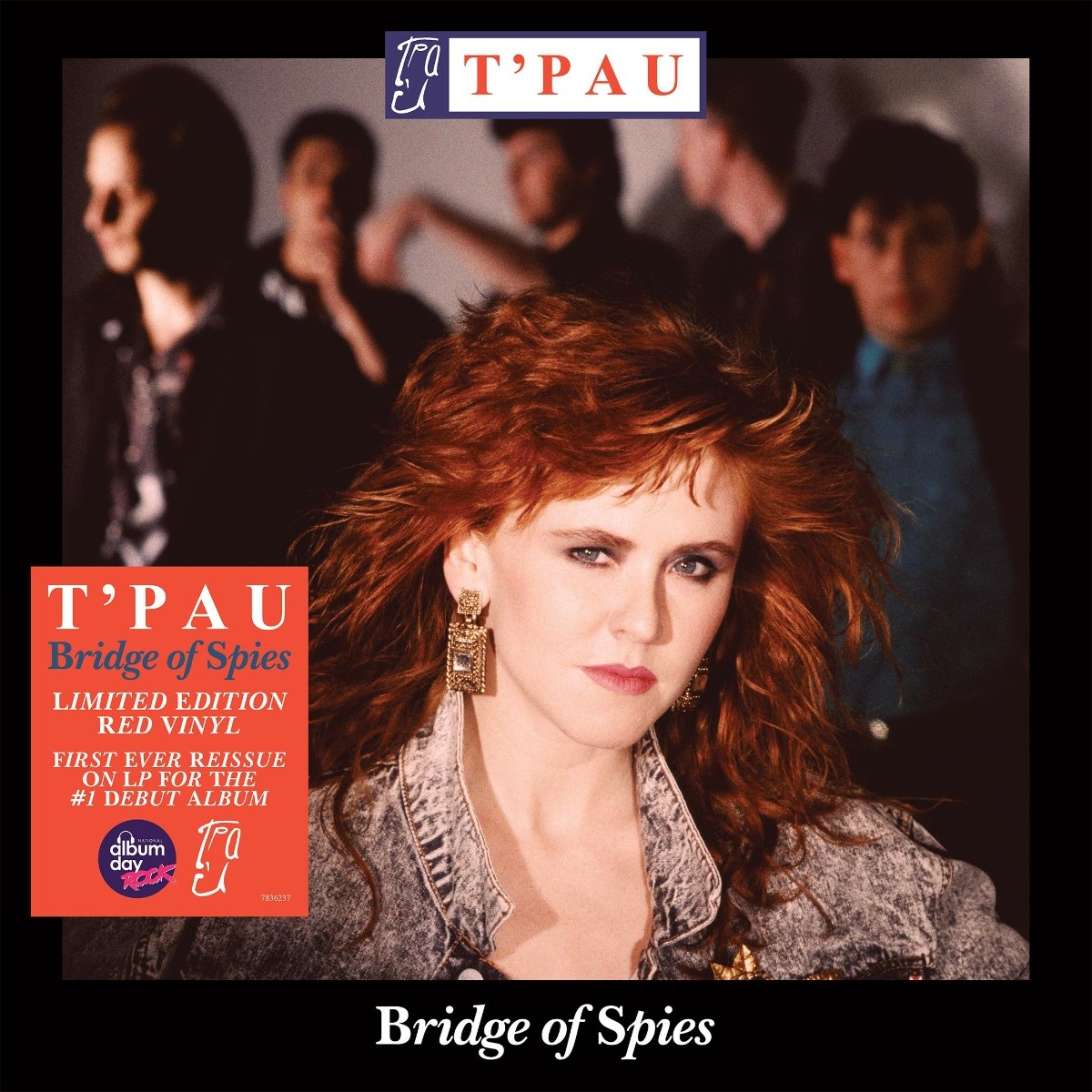 Afbeelding van T'pau - Bridge Of Spies