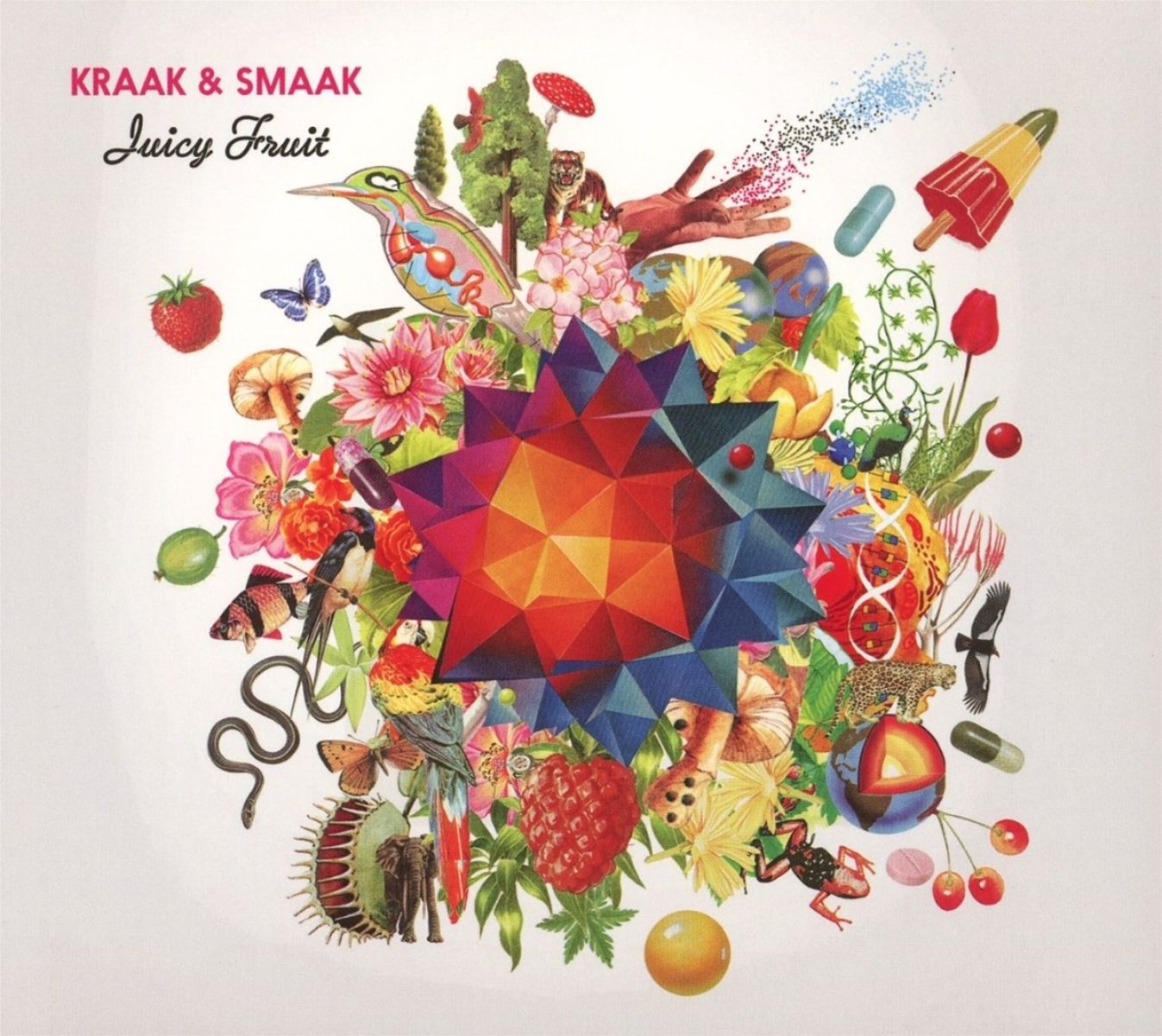 Afbeelding van Kraak & Smaak - Juicy Fruit
