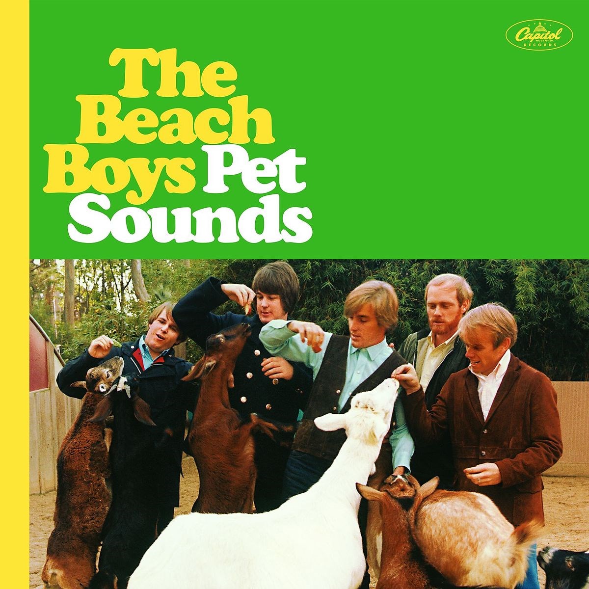 Afbeelding van The Beach Boys - Pet Sounds