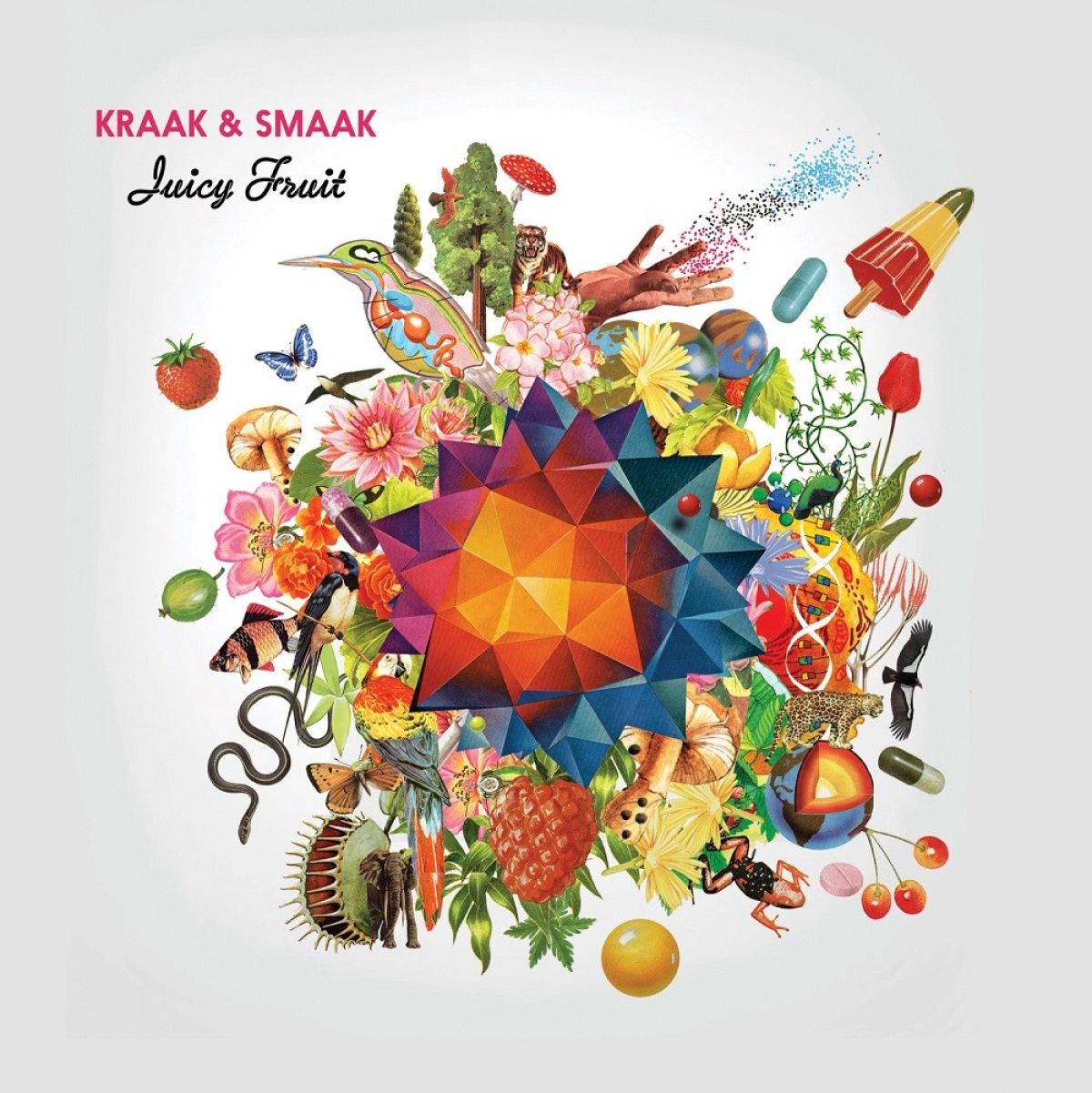 Afbeelding van Kraak & Smaak - Juicy Fruit